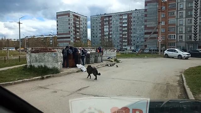 Ухта. Забота государства на лицо. Лишние люди. смотреть онлайн