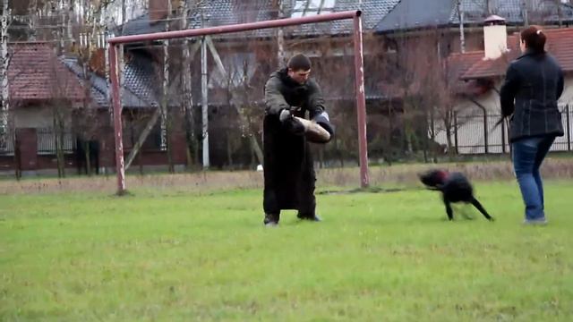 Браво Файтер Реал Рок Стар