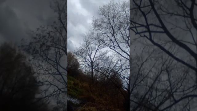 рыбалка на реке Осётр осень ловля щуки на малых бровках(2) смотреть онлайн