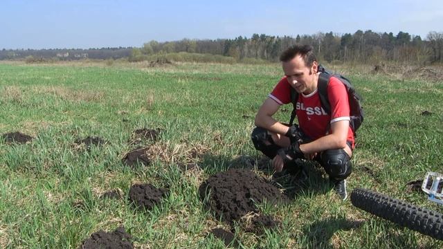 ДОТ 401/402. Олимпийский мишка смотреть онлайн