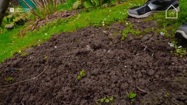 #Москвастобой — #ТВ: Дачные лайфхаки от Ангелины Вовк. Серия 1 смотреть онлайн