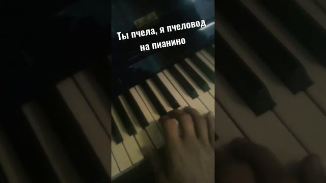 Ты пчела я пчеловод на пианино смотреть онлайн