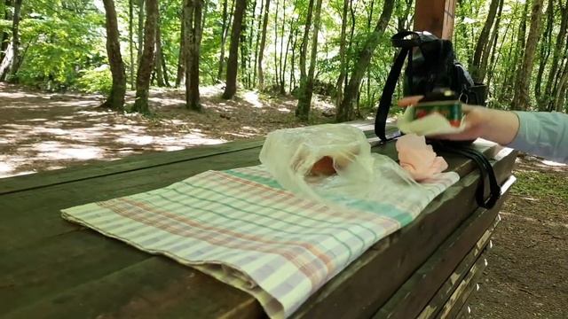 Большой каньон?Зачем?!?ПИКНИК на природе ЛУЧШЕ? смотреть онлайн