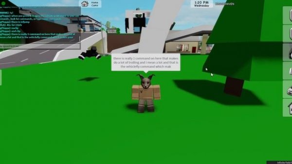 Beginner's Guide To Infinite Yield