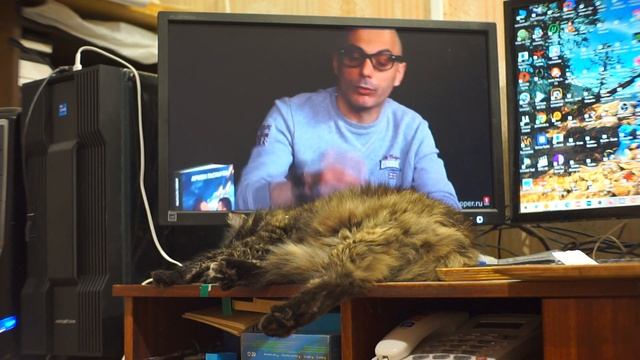 Кошка лежит отдыхает на моём рабочем столе, Часть 00012 смотреть онлайн