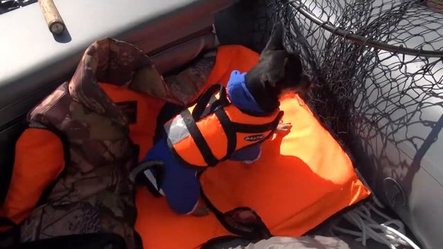 первая рыбалка для Рекса