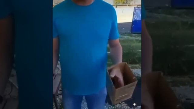 Как Правильно Собрать Ягоды смотреть онлайн
