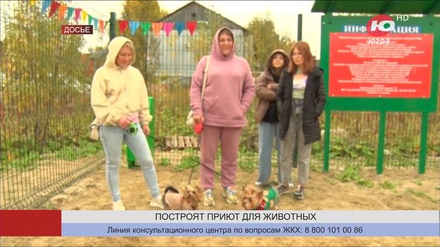 В Ханты-Мансийске построят приют и оборудуют новые площадки для выгула собак смотреть онлайн