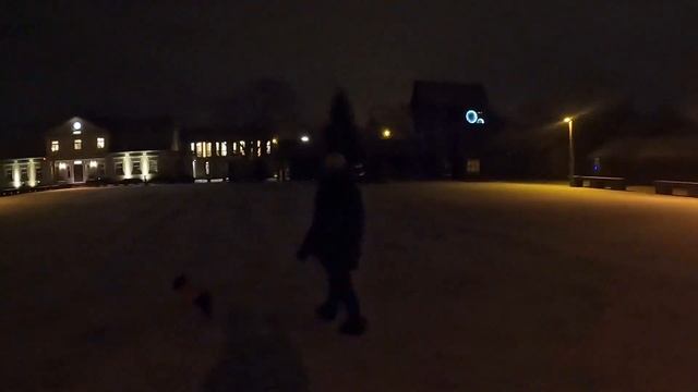 Вечер в г.Вентспилс, Латвия - 22.11.2023 - Метель, снежок, спокойствие смотреть онлайн