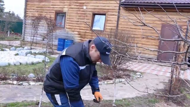 вторая подкормка плодовых деревьев и кустарников под перекопку весной смотреть онлайн