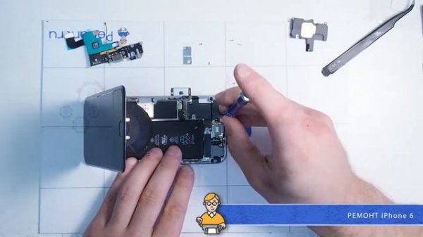 Ремонт iPhone 6 в сервисе Pedant.ru