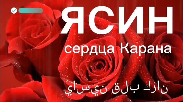 СУРА ЯСИН, سورة ياسين ЯСИН СУРАСИ