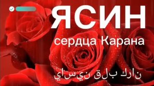 СУРА ЯСИН, سورة ياسين ЯСИН СУРАСИ