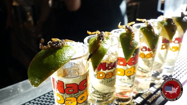 Scorpion Shots At "Nacho Daddy" смотреть онлайн