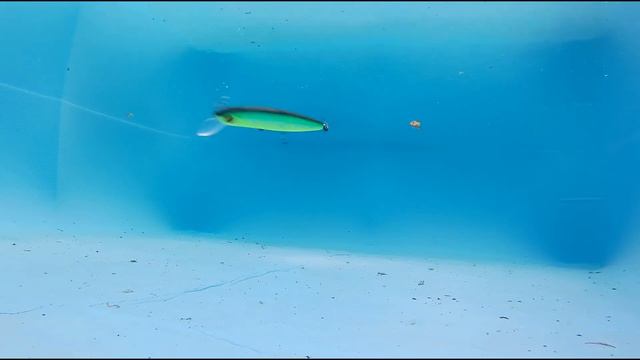 Wobbler Dexter Minnow Pontoon21 Jerkbait underwater footage смотреть онлайн
