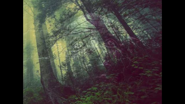 Goblin Market – Movement V (a postmetal music adaptation of Christina Rossetti's poem) смотреть онлайн