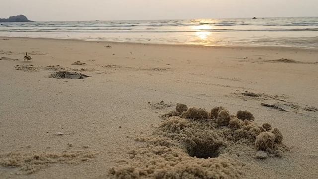 Краб на Пхукет смотреть онлайн