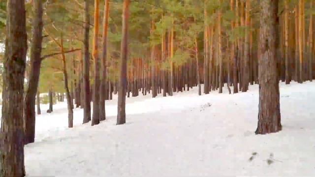 через парк Гагарина за минуту смотреть онлайн