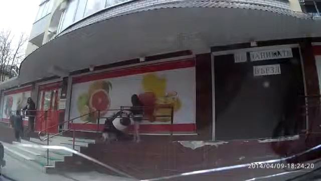 Боевой котяра TOP VIDEO смотреть онлайн