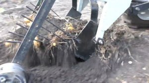 Картофелекопалка грохотная , самодельная.  ЭЛЕКТРО .