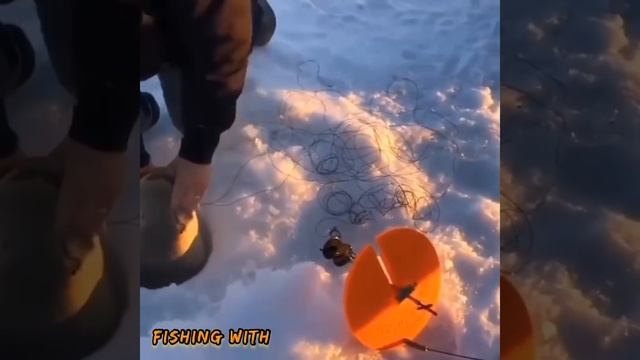 Трофейня щука #fishing #newone #щука #хищник #наживца #рыбалка смотреть онлайн
