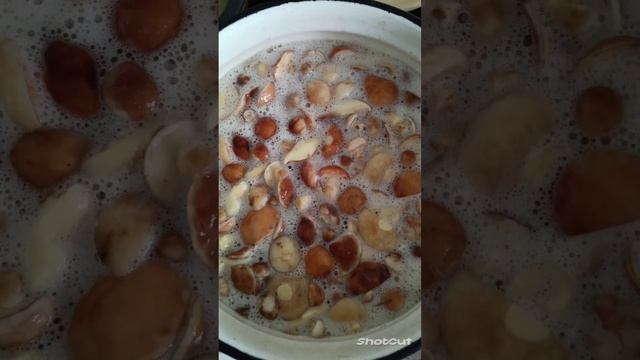 ЗАГОТОВКА ГРИБОВ НА ЗИМУ БЫСТРО И ПРОСТО. смотреть онлайн