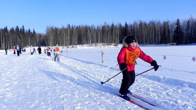 Лыжня России ролик смотреть онлайн