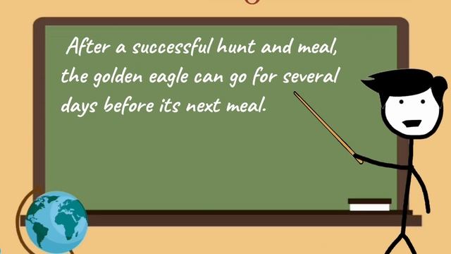 BALD EAGLE VS GOLDEN EAGLE - Which Is More Powerfull?