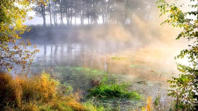 Один народ у Господа. Прагматизм и рождение Свыше. Последняя Жертва. Язык и штампы. Адам был Еврей?