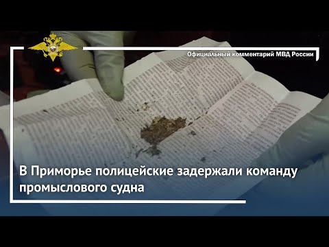 Ирина Волк: В Приморье полицейские задержали команду промыслового судна смотреть онлайн