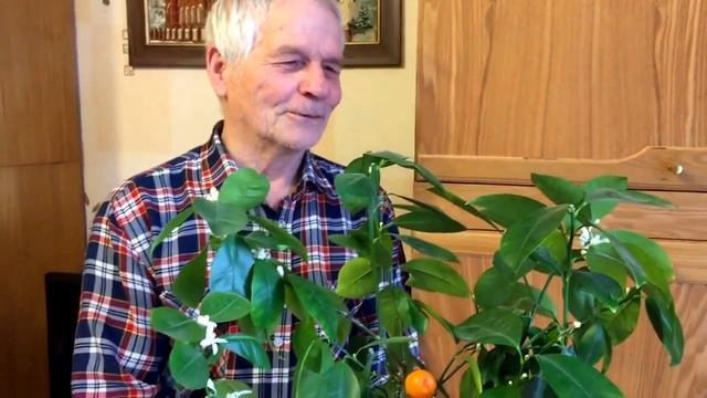 Каламондин Витольда Петровича смотреть онлайн