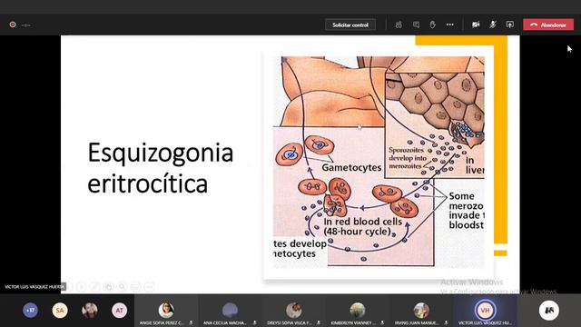 TEORÍA SECCIÓN A CLASE N°8 PARASITOLOGÍA SEGUNDA FASE смотреть онлайн