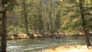 Reiki Timer ~ Armenian Flute Music with 5 Minute Bell Timer