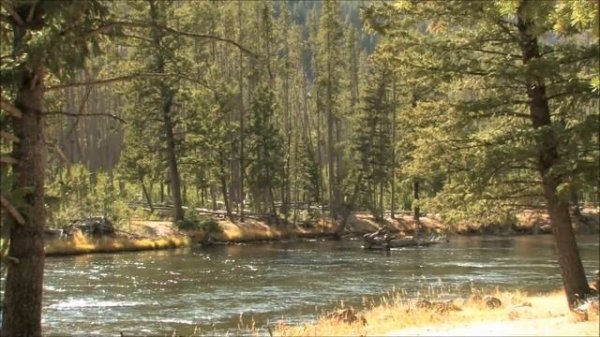 Reiki Timer ~ Armenian Flute Music with 5 Minute Bell Timer