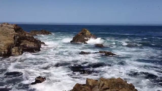 Sounds of the ocean смотреть онлайн