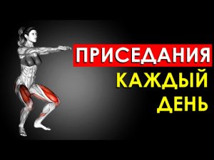 Что если Приседать Каждый День