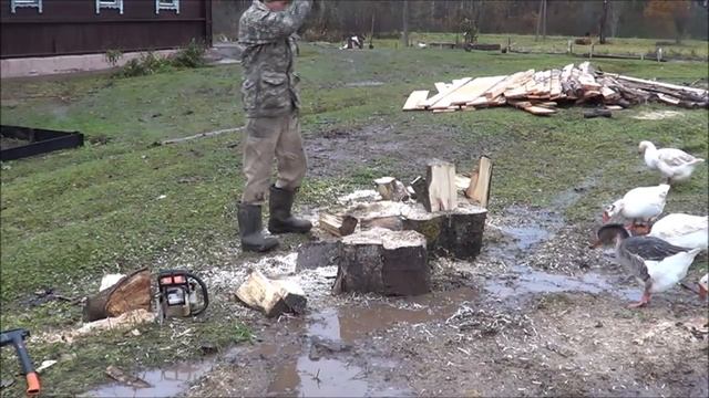 Вытяжка в курятнике. Теплица в порядке. Осину победил-поколол. Деревня. Регион 60. смотреть онлайн