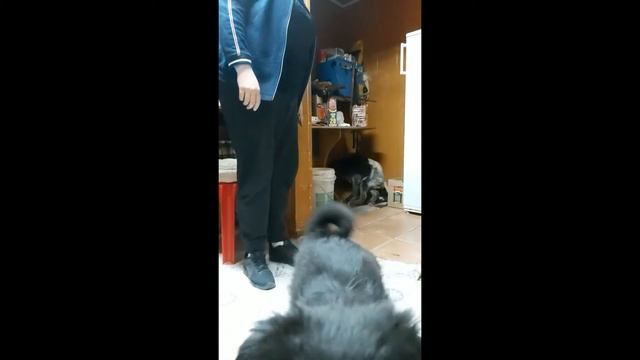 "Дом для души" смотреть онлайн