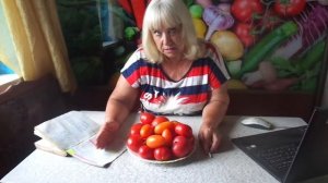 КАК ПОЛУЧИТЬ РАННИЙ УРОЖАЙ ТОМАТОВ В ХОЛОДНОМ РЕГИОНЕ? Ольга Чернова.