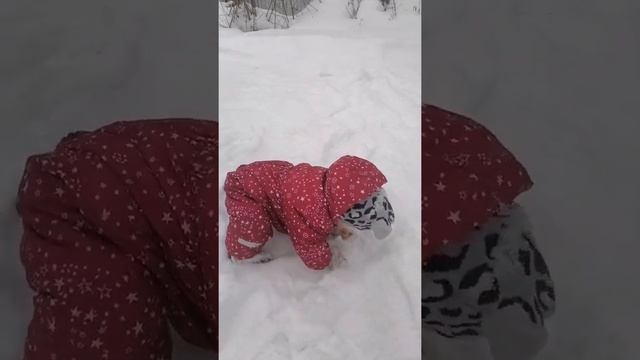 Гуляем с ребёнком зимой смотреть онлайн