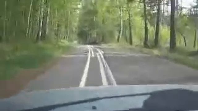 Разметка дороги по русски смотреть онлайн