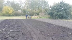 Мб2 нева пашет плугом ПЦ 1.18