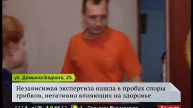 Жители одного из домов жалуются на плесень смотреть онлайн