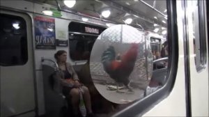 Metro SPB Метро Санкт-Петербурга