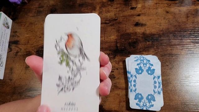 Winterseer Animal Oracle | Unboxing and Flip Through смотреть онлайн
