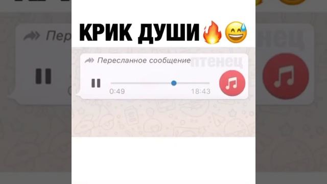 ОТ ДУШИ ДУШЕВНО                                                                         
 В ДУШУ ...