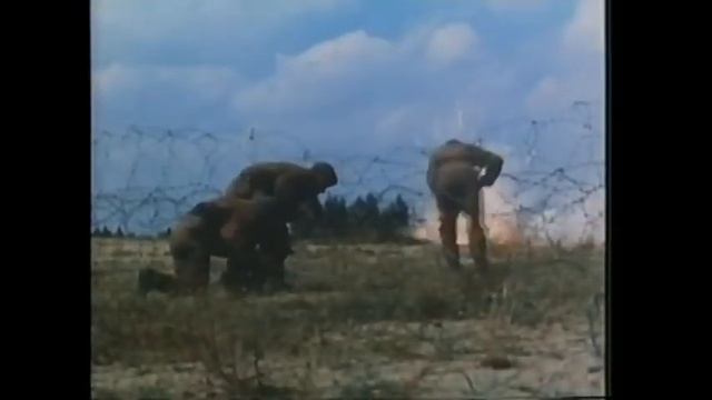 AMERICAN BOY-AMERICAN JOY