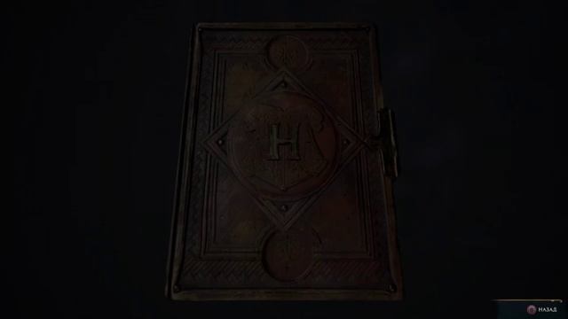 Hogwarts Legacy (PS4) #6 смотреть онлайн
