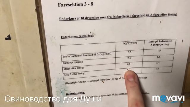 Обзор бокса и станка для опороса! смотреть онлайн