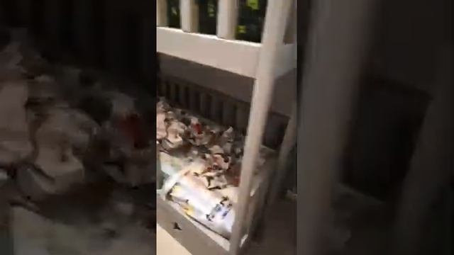 23 ноября 2019 г. смотреть онлайн